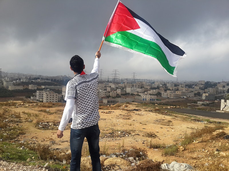 Il riconoscimento dello Stato di Palestina è urgente: primo passo verso una  politica di Pace possibile - Fondazione Lelio e Lisli Basso - ONLUS